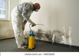 Why You Should Choose Our Mold Remediation Services in San Elizario, TX